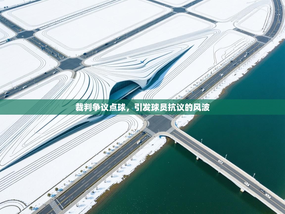 云开体育官方app下载-裁判争议点球，引发球员抗议的风波  第3张