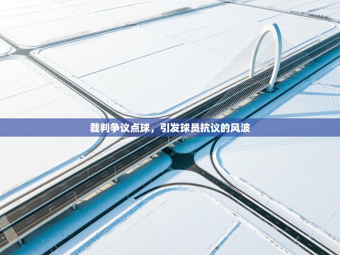 云开体育官方app下载-裁判争议点球，引发球员抗议的风波  第2张