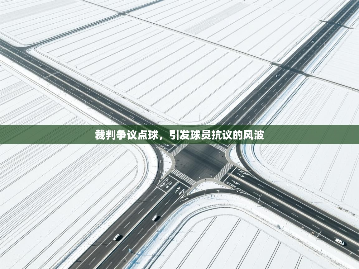 云开体育官方app下载-裁判争议点球，引发球员抗议的风波  第4张